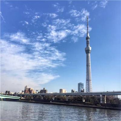 宠物z时代手游下载