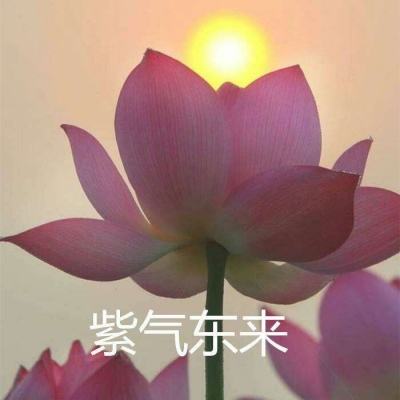 飞龙大战提现